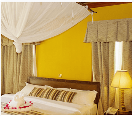 Executive Suite Room